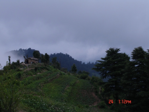 Beautiful place above Mussoorie...